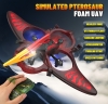 Wing Loong foam aircraft