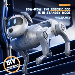 NEW 2.4GHz RC Robot Electric DIY Assembled Plastic Mechanical Dog Children